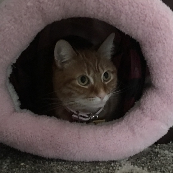 Meet your Posher, Mariam - Picture 1 of 1